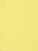 The Lemon Drop Shorts